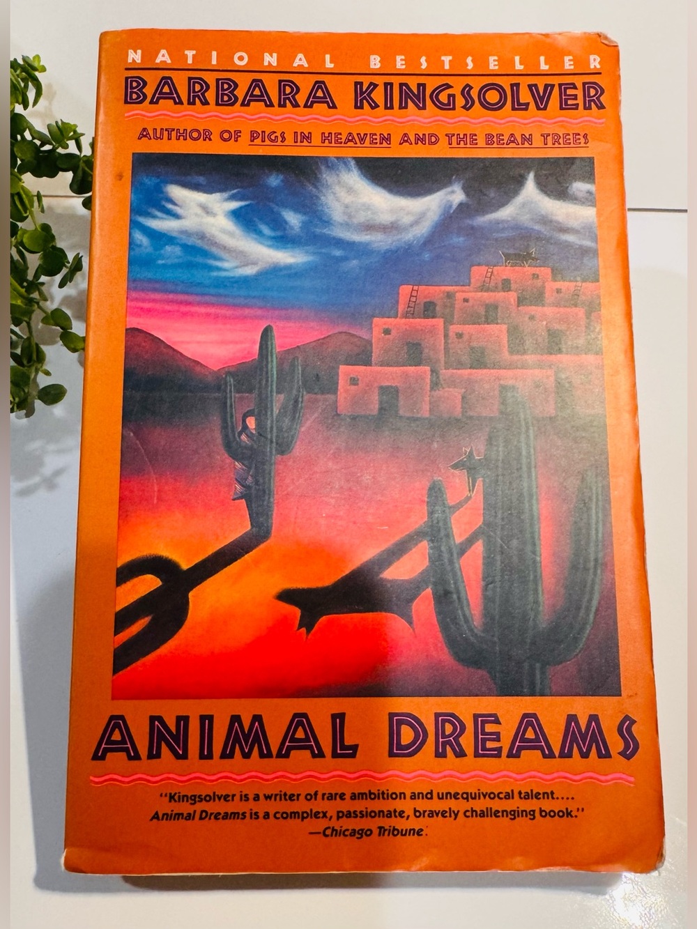 Animal Dreams Softcover Novel by Barbara Kingsolver